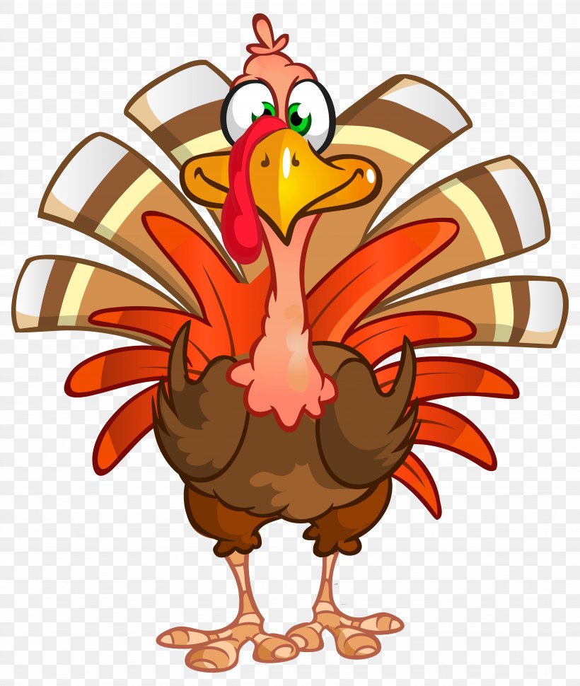 Turkey Thanksgiving Dinner Clip Art, PNG, 6761x8000px, Turkey, Beak, Bird,  Cartoon, Chicken Download Free