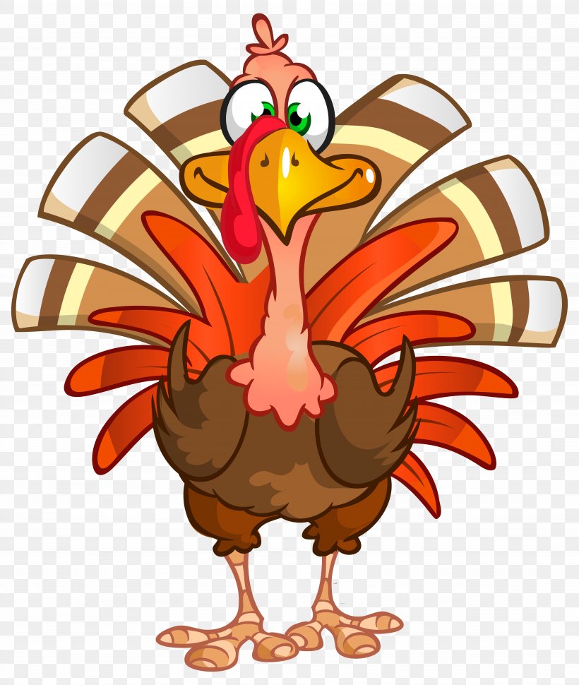 Turkey Thanksgiving Dinner Clip Art, PNG, 6761x8000px, Turkey, Beak, Bird, Cartoon, Chicken Download Free