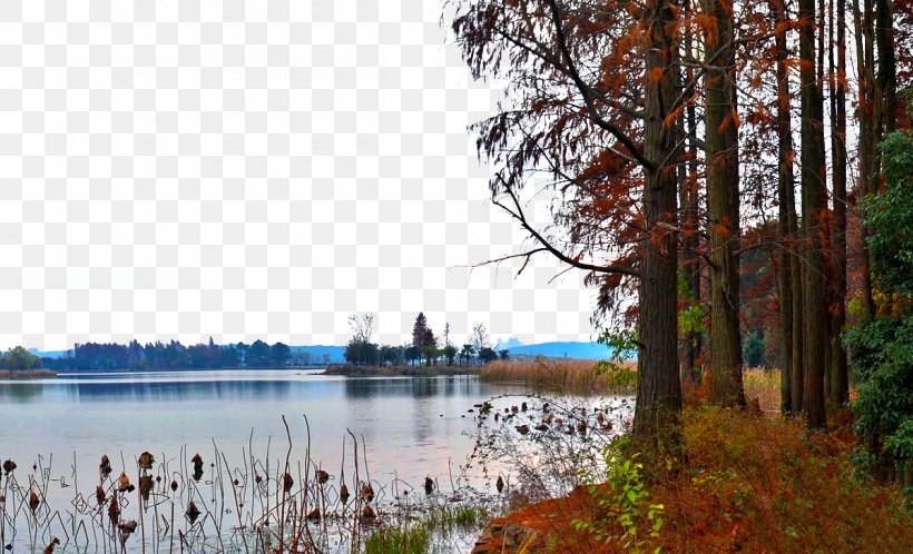 U843du96c1u666fu533a Lake Wallpaper, PNG, 1200x730px, Lake, Bank, Bayou, Copyright, Historic Site Download Free