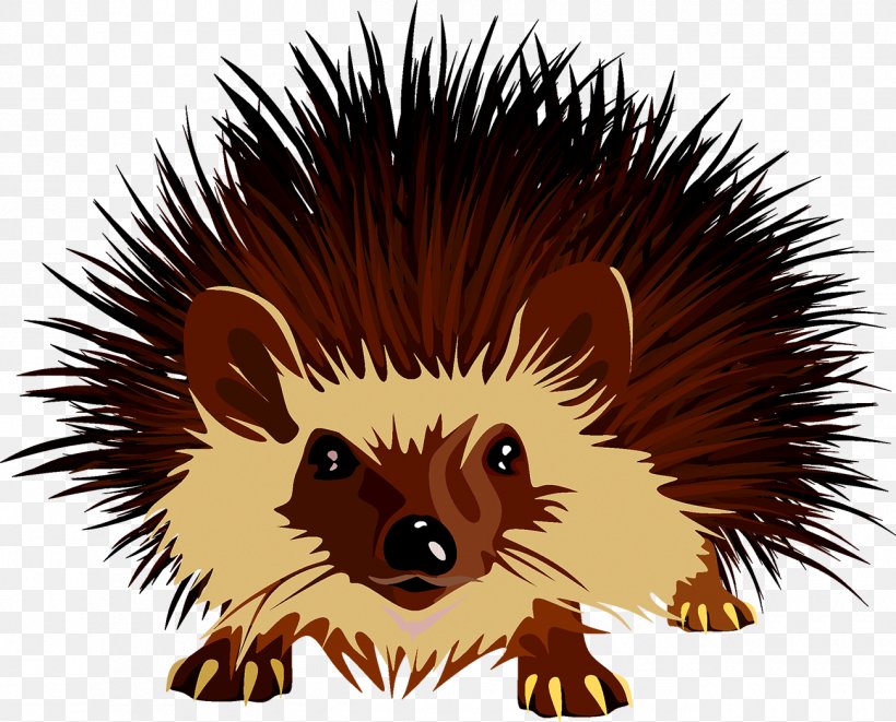 Hedgehog Euclidean Vector Adaptation, PNG, 1300x1048px, Hedgehog, Adaptation, Carnivoran, Creatures In Crisis, Domesticated Hedgehog Download Free