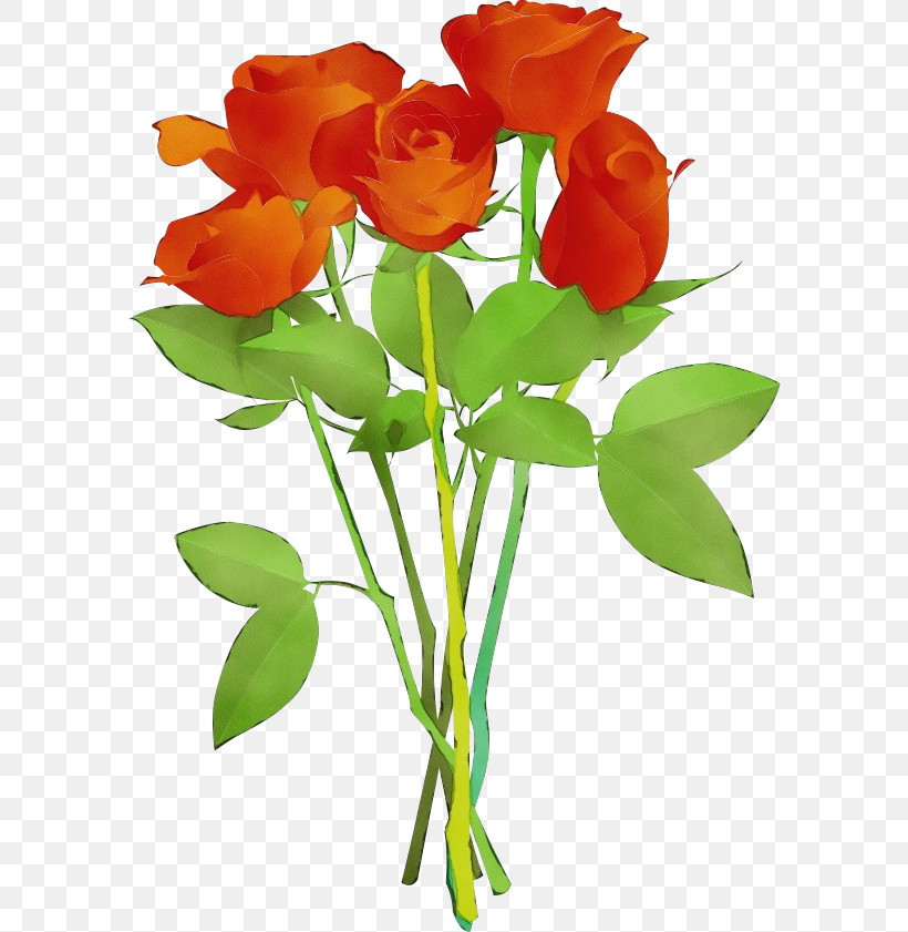 Orange, PNG, 590x841px, Flowers, Cut Flowers, Flower, Flowerpot, Orange Download Free