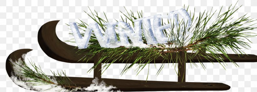 Sled Winter Icon, PNG, 1280x461px, Sled, Blog, Flora, Floral Design, Flower Download Free