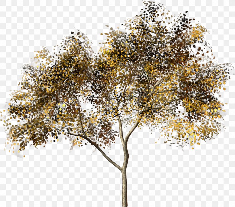 Tree Hero Plant Clip Art, PNG, 1200x1054px, Tree, Branch, Forest, Hero, Material Download Free