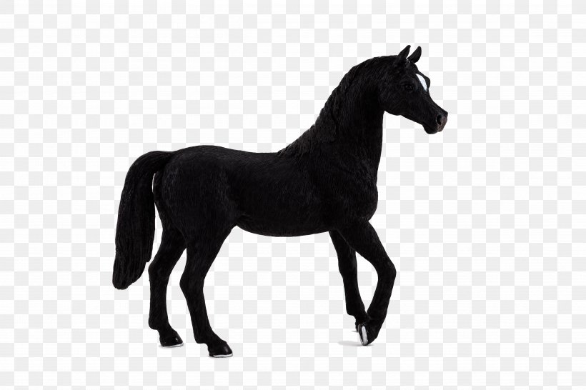 Arabian Horse Andalusian Horse Stallion Friesian Horse Mustang, PNG, 4839x3226px, Arabian Horse, American Quarter Horse, Andalusian Horse, Animal, Animal Figure Download Free