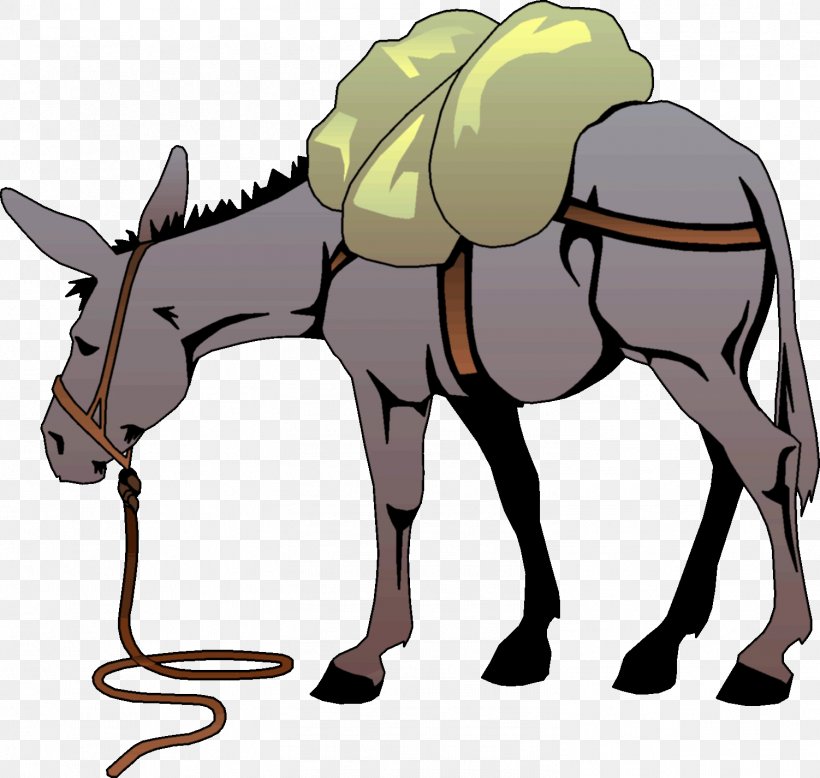 Mule Donkey Clip Art, PNG, 1502x1426px, Mule, Bridle, Colt, Document, Donkey Download Free