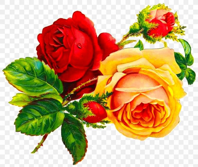 Victorian Era Vintage Roses: Beautiful Varieties For Home And Garden Rose Garden Clip Art, PNG, 837x707px, Victorian Era, Antique, Crossstitch, Cut Flowers, Ephemera Download Free