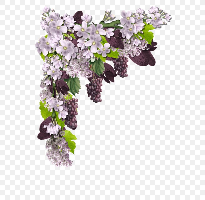 Picture Frames Home Page Clip Art, PNG, 571x800px, Picture Frames, Blog, Blossom, Branch, Cut Flowers Download Free