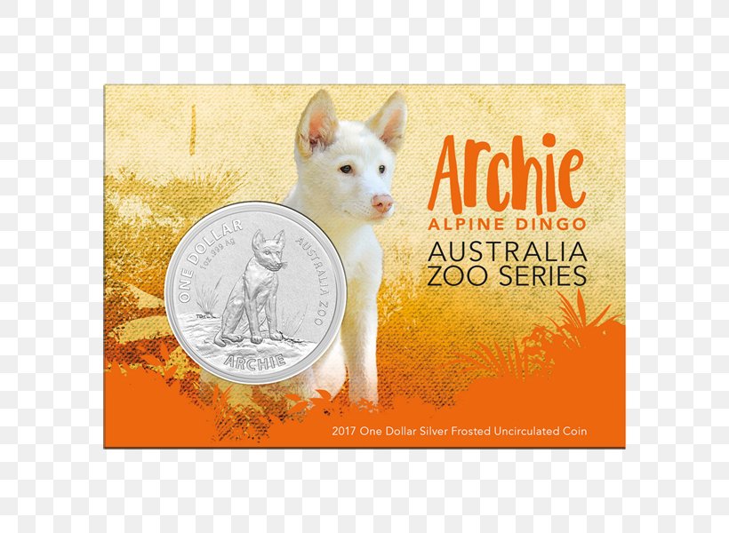 Australia Zoo Royal Australian Mint Dingo Koala Australian Stock Horse, PNG, 600x600px, Australia Zoo, Advertising, Australia, Australian Dollar, Australian Stock Horse Download Free