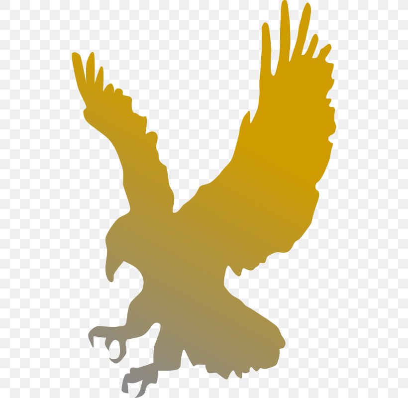 Bald Eagle Clip Art, PNG, 532x800px, Bald Eagle, African Fish Eagle, Art, Beak, Bird Download Free