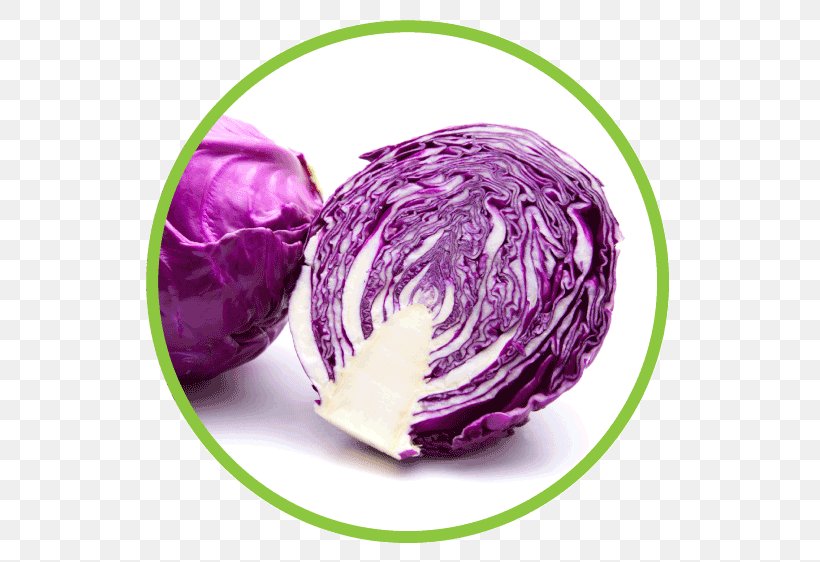 Red Cabbage Cauliflower Capitata Group Brussels Sprout Chou, PNG, 562x562px, Red Cabbage, Apple, Brassica Oleracea, Broccoli, Brussels Sprout Download Free