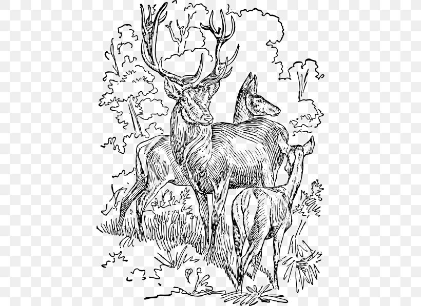 Red Deer Drawing Clip Art, PNG, 444x597px, Red Deer, Art, Artwork, Black And White, Cattle Like Mammal Download Free