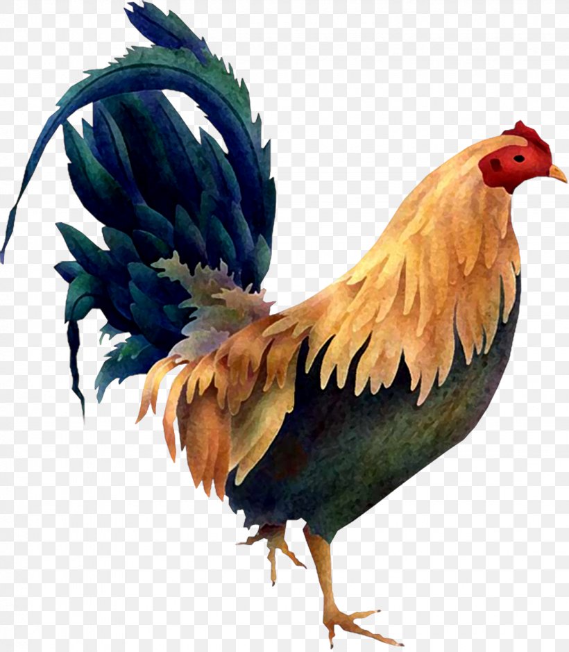Chicken Rooster Bird Poultry Clip Art, PNG, 1130x1294px, Chicken, Beak, Bird, Farm, Feather Download Free
