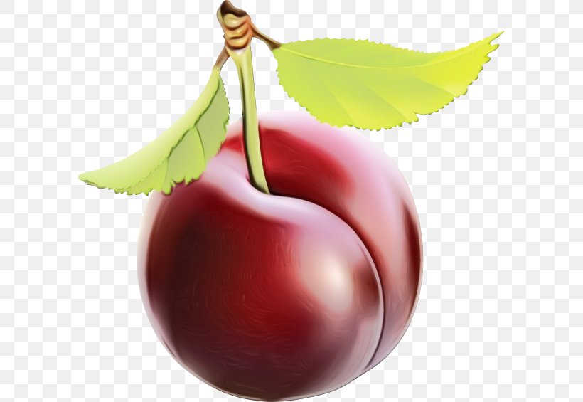 European Plum Fruit Cherry Plant Food, PNG, 600x565px, Watercolor, Cherry, European Plum, Food, Fruit Download Free