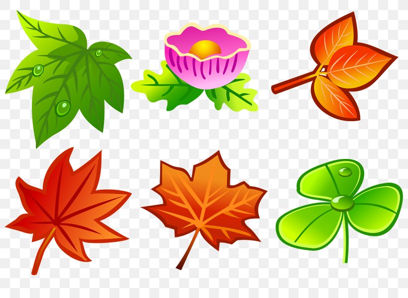 Leaf Clip Art, PNG, 800x600px, Leaf, Artwork, Flora, Flower, Flowering Plant Download Free