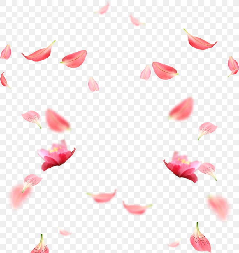 Petal RGB Color Model Download, PNG, 856x909px, Petal, Cherry Blossom, Cmyk Color Model, Flower, Heart Download Free