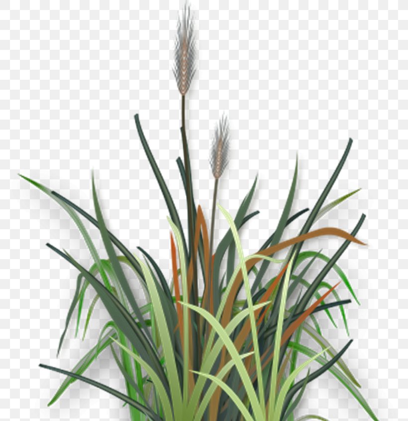 BZFlag Globe Parent Flowerpot Author, PNG, 795x845px, Bzflag, Author, Bird, Commodity, Directory Download Free