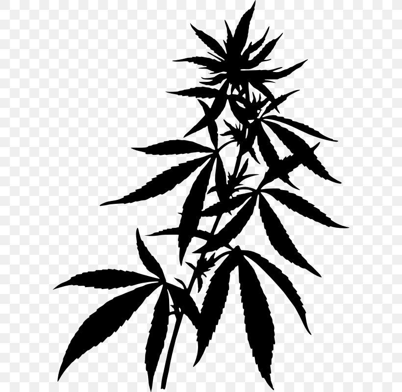 Cannabis Drawing Hemp Clip Art, PNG, 606x800px, Cannabis, Black And White, Branch, Cannabis Sativa, Cannabis Smoking Download Free