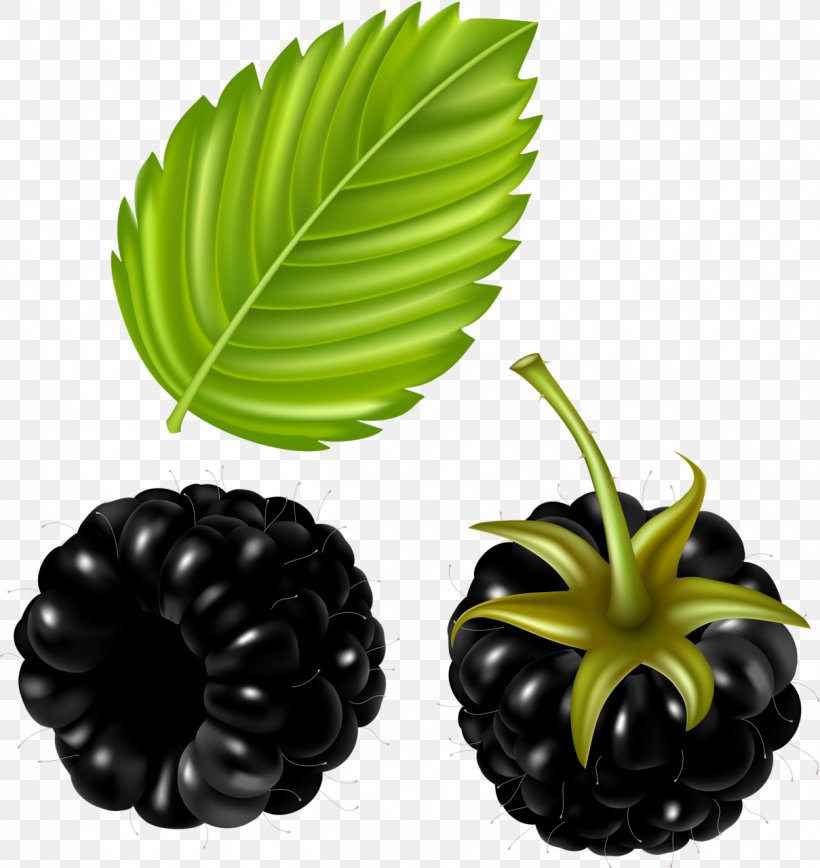 Fruit Clip Art Image Drawing, PNG, 1209x1280px, Fruit, Art, Berries, Berry, Blackberry Download Free