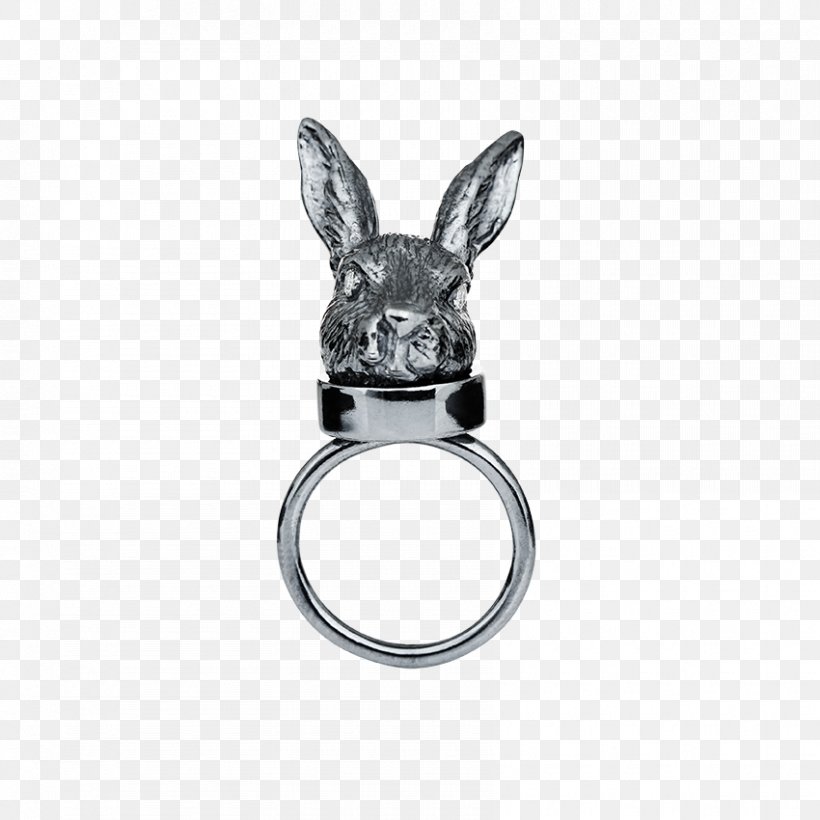 Jewellery Gold Moon Rabbit Ring Silver, PNG, 850x850px, Jewellery, Body Jewellery, Body Jewelry, Charms Pendants, Diamond Download Free