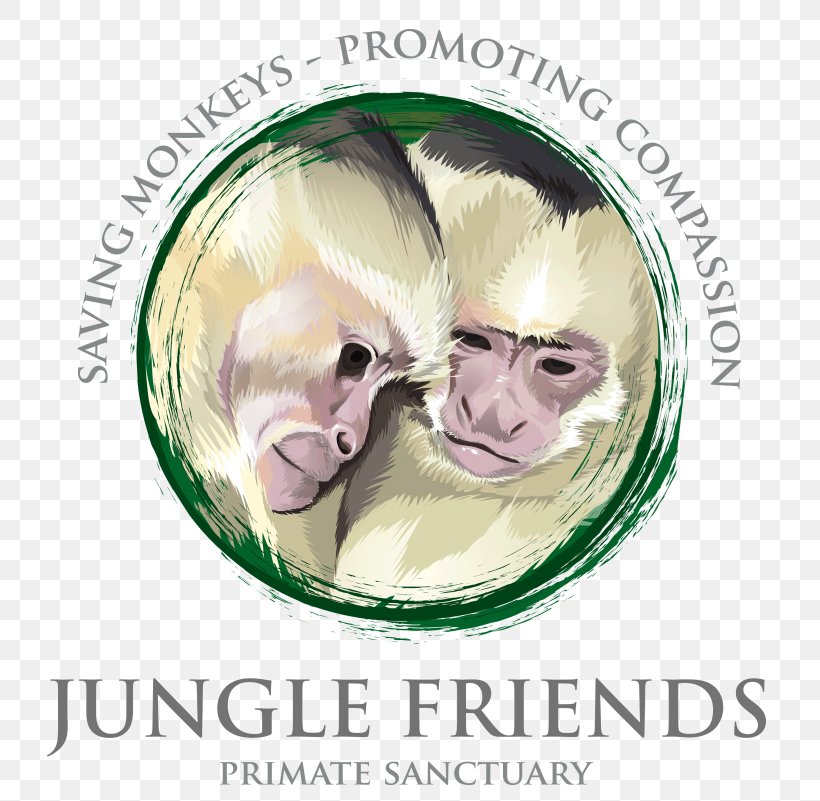 Jungle Friends Primate Sn Center Nose Animal, PNG, 801x801px, Primate, Animal, Face, Head, Nose Download Free