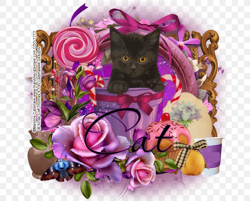 Kitten Whiskers Floral Design, PNG, 677x659px, Kitten, Carnivoran, Cat, Cat Like Mammal, Floral Design Download Free