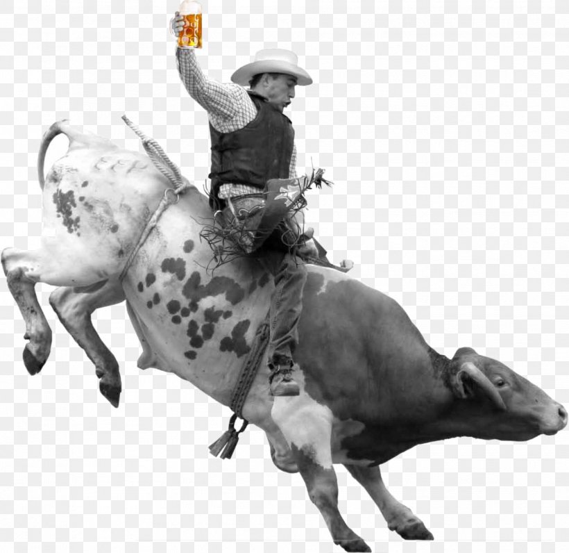 Rodeo Bull Riding Cattle Cowboy, PNG, 1914x1858px, Rodeo, Animal Sports, Black And White, Bucking, Bucking Bull Download Free