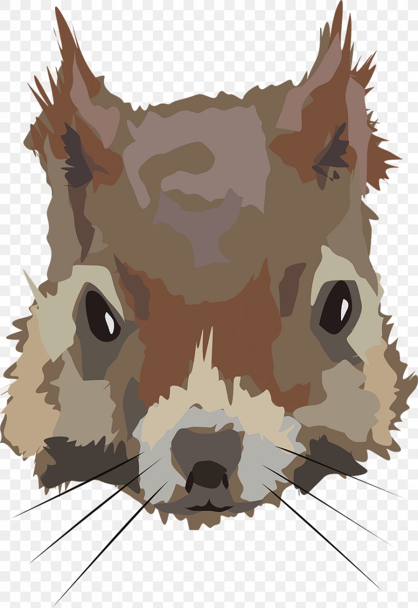 Squirrel Canidae Clip Art, PNG, 880x1280px, Squirrel, Animal, Art, Canidae, Carnivoran Download Free