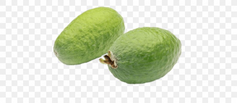 Feijoa Key Lime Superfood, PNG, 1420x623px, Feijoa, Food, Fruit, Key Lime, Lime Download Free