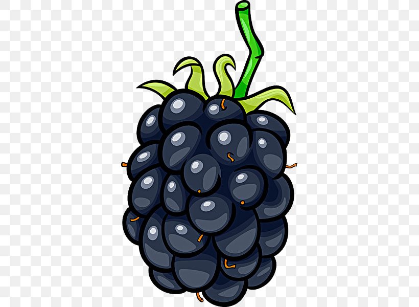 Frutti Di Bosco Blackberry Cartoon Fruit, PNG, 500x600px, Blackberry, Berry, Bilberry, Cartoon, Comics Download Free