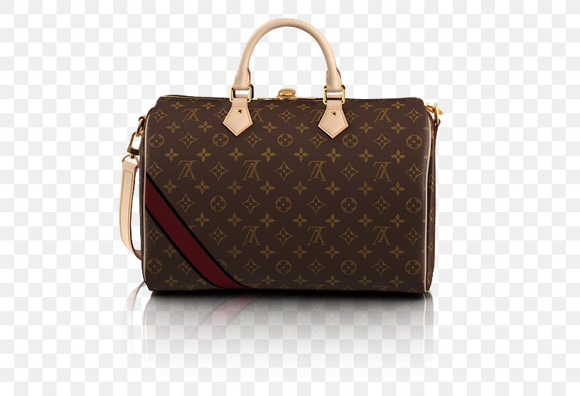 Handbag Chanel Louis Vuitton Leather, PNG, 740x560px, Handbag, Bag, Baggage, Belt, Brand Download Free
