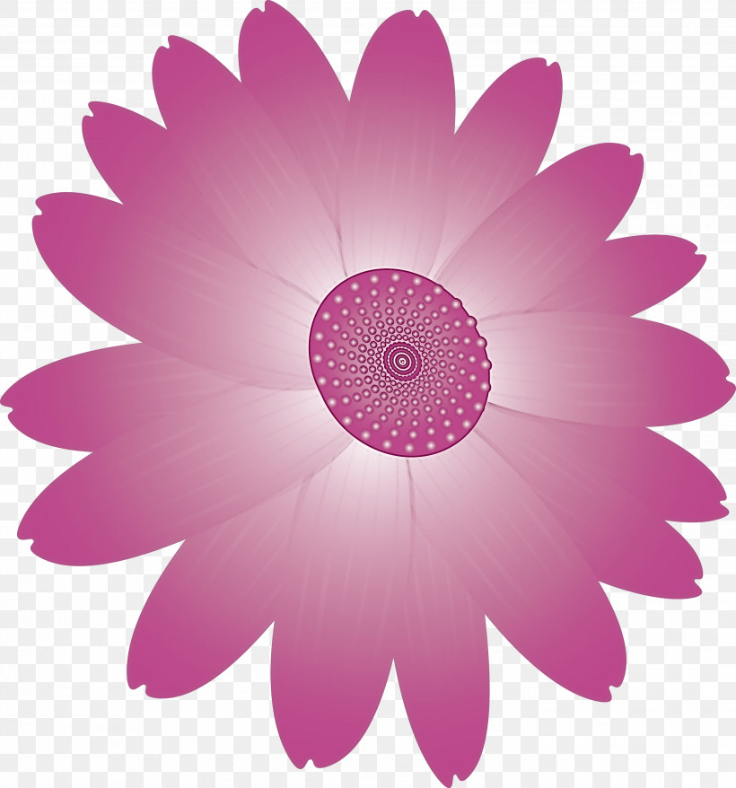 Marguerite Flower Spring Flower, PNG, 2799x3000px, Marguerite Flower, Daisy, Daisy Family, Flower, Gerbera Download Free