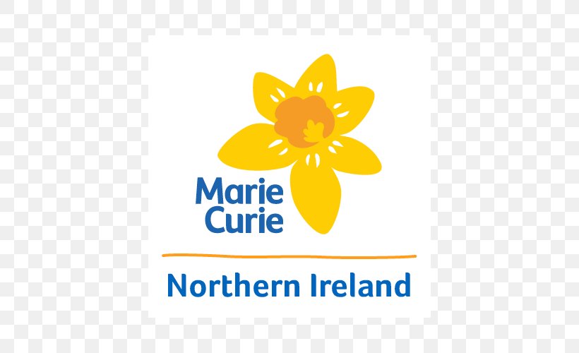 Marie Curie's Blooming Great Tea Party Great Daffodil Appeal Terminal Illness Research, PNG, 800x500px, Marie Curie, Area, Brand, Charitable Organization, Flower Download Free