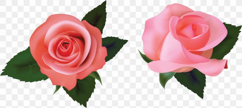 Rose Royalty-free, PNG, 6422x2872px, Rose, Artificial Flower, Color, Cut Flowers, Drawing Download Free