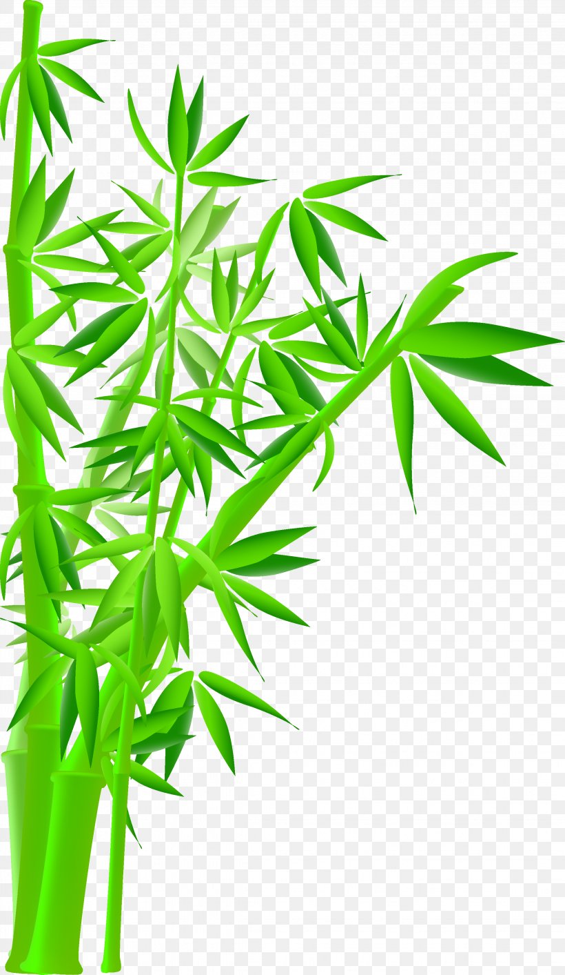 Royalty-free Bamboo Stock Photography Illustration, PNG, 2244x3869px, Royaltyfree, Bamboo, Cannabis, Drawing, Grass Download Free