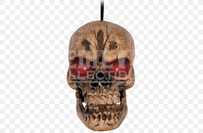 Skull Head Human Skeleton Bone, PNG, 537x537px, Watercolor, Cartoon, Flower, Frame, Heart Download Free