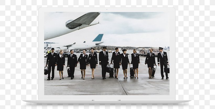 Swiss International Air Lines Flight Attendant Airline Aircraft