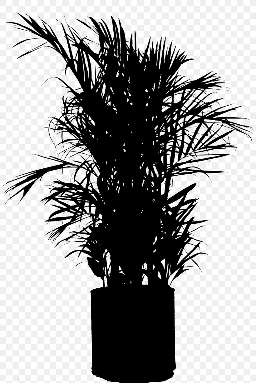 Asian Palmyra Palm Flowerpot Houseplant Silhouette Plant Stem, PNG, 1636x2448px, Asian Palmyra Palm, Arecales, Blackandwhite, Borassus, Branching Download Free