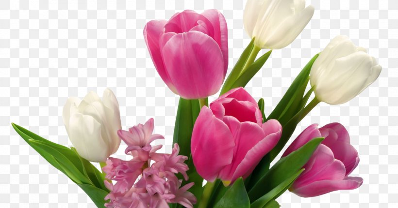 Flower Bouquet Desktop Wallpaper Clip Art, PNG, 1200x630px, Flower, Bud, Cut Flowers, Display Resolution, Floral Design Download Free