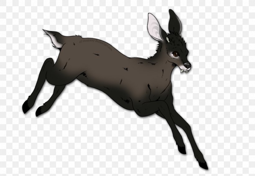 Musk Deers Tufted Deer Antelope, PNG, 1024x709px, Deer, Antelope, Art, Canidae, Cattle Like Mammal Download Free