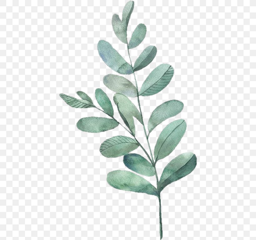 Watercolor Painting Leaf Clip Art, PNG, 442x770px, Watercolor Painting, Art, Branch, Drawing, Fern Download Free