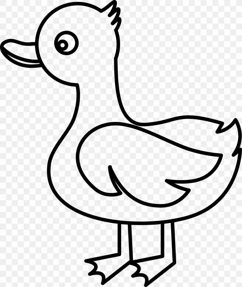 Duck Cygnini Clip Art, PNG, 1560x1856px, Duck, Anatidae, Art, Artwork, Beak Download Free