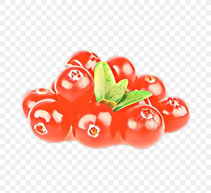 Vegetable Cartoon, PNG, 750x750px, Food, Berry, Cherry, Cherry Tomatoes, Currant Download Free
