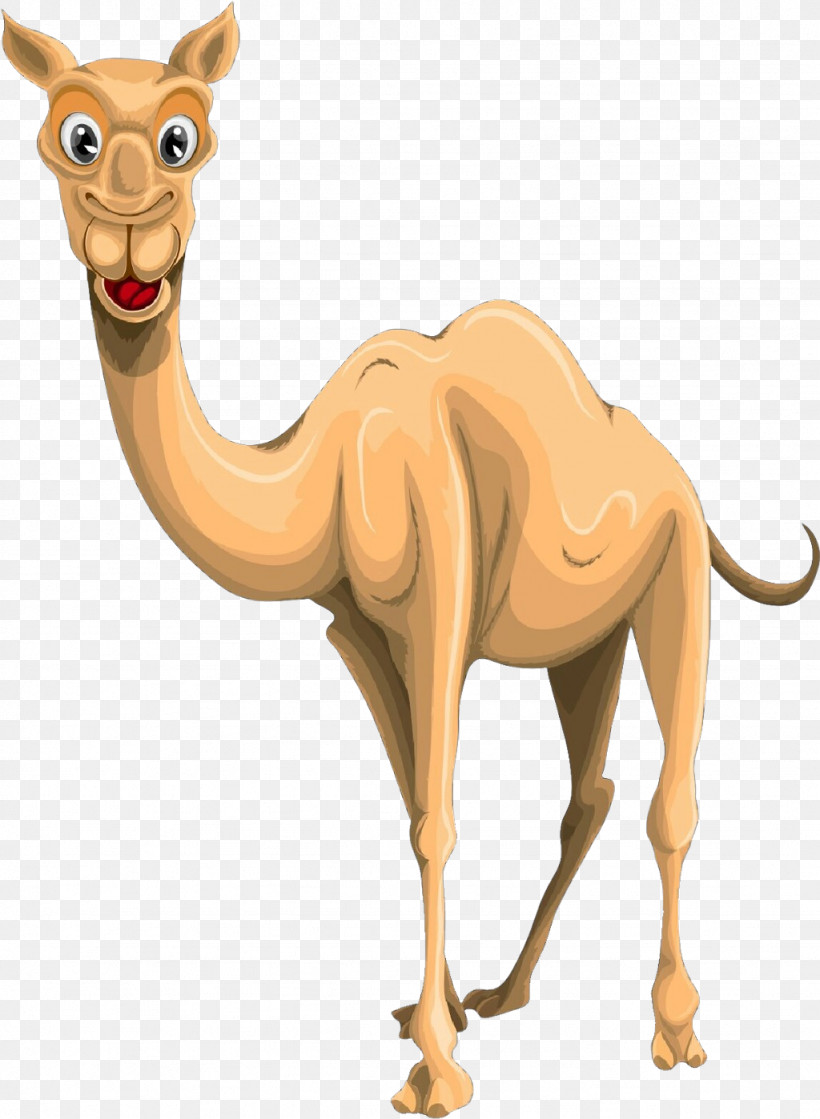 Camel Camelid Arabian Camel Animal Figure Wildlife, PNG, 1024x1398px, Camel, Animal Figure, Arabian Camel, Camelid, Fawn Download Free