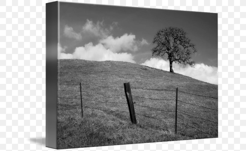 Black And White Imagekind Art Photography, PNG, 650x504px, Black And White, Art, Black, Cloud, Imagekind Download Free