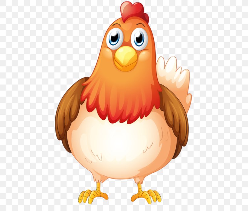 Chicken Vector Graphics Royalty-free Stock Illustration, PNG, 493x699px, Chicken, Beak, Bird, Cartoon, Depositphotos Download Free