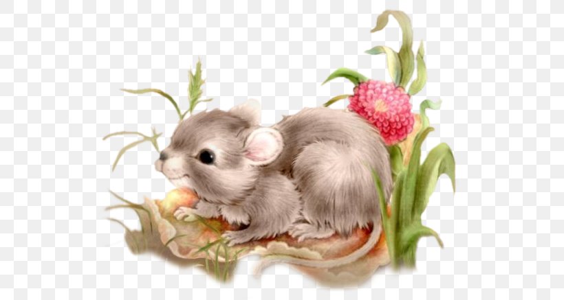 Gerbil Greeting Hamster Guestbook Love, PNG, 615x437px, Gerbil, Book, Couple, Dormouse, Fauna Download Free