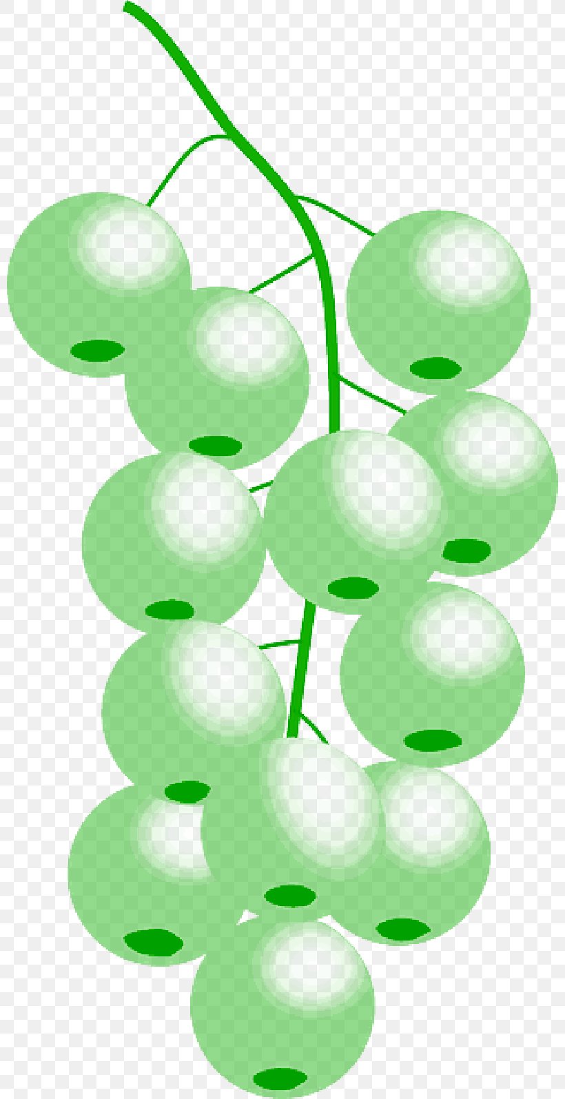Grape Clip Art Royalty-free Green Graphics, PNG, 800x1595px, Grape, Branching, Green, Leaf, Plant Download Free