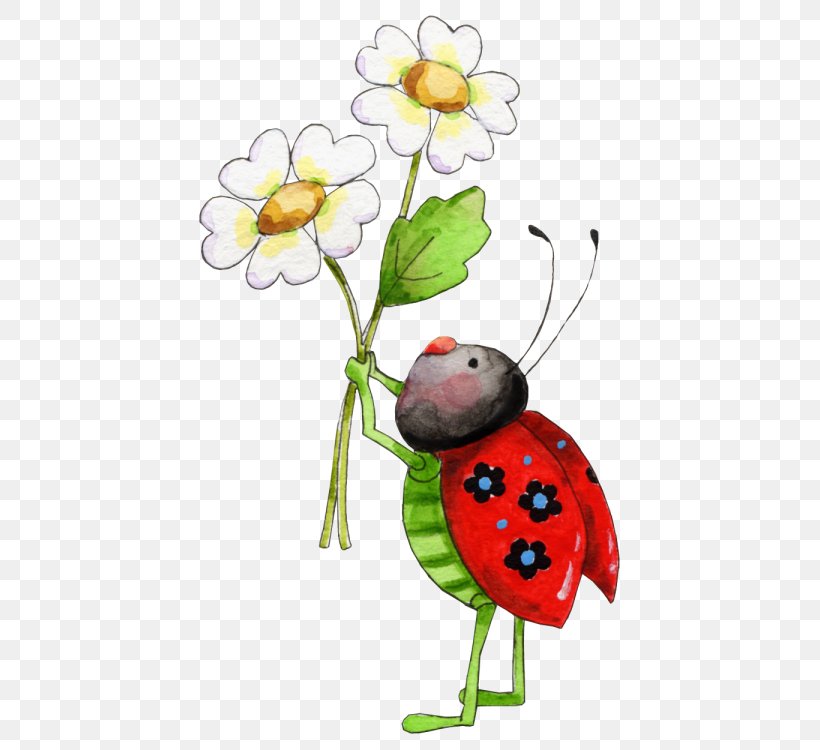 Insect Ladybird Beetle Clip Art, PNG, 480x750px, Insect, Amphimallon Solstitiale, Arthropod, Drawing, Flora Download Free