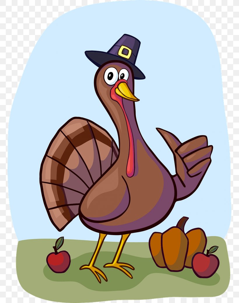 Turkey Thumb Signal Jerky Clip Art, PNG, 768x1039px, Turkey, Beak, Bird, Chicken, Ducks Geese And Swans Download Free