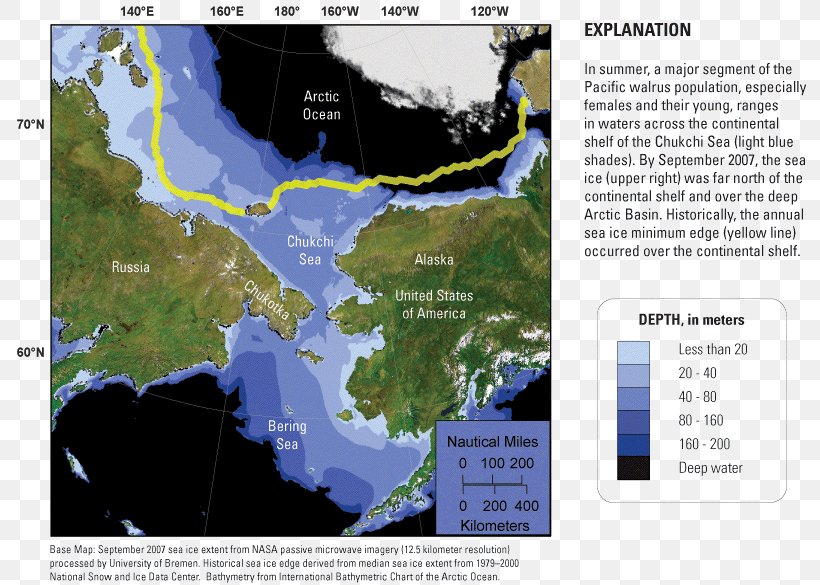 Arctic Bering Sea Chukchi Sea Pacific Walrus Continental Shelf, PNG, 800x585px, Arctic, Animal, Arctic Report Card, Atlantic Walrus, Bering Sea Download Free